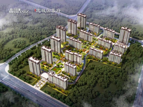 九巨龍龍城.國(guó)尊府